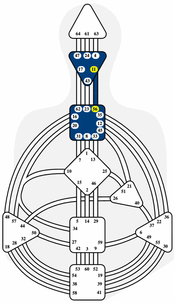 11-56