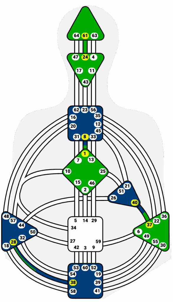 Quadruple Split definition bodygraph example